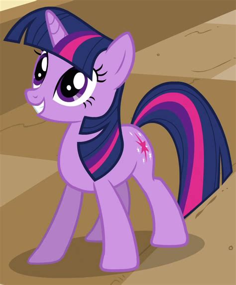 my little pony wiki twilight|my little pony twilight princess.